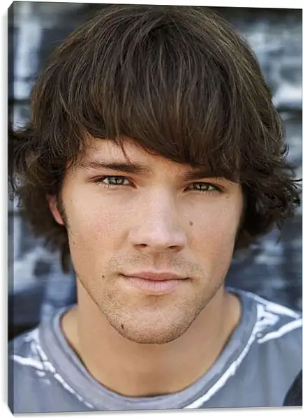 Постер на подрамнике - Джаред Падалеки. Jared Padalecki