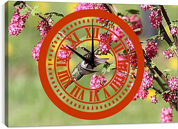 Часы картина - Колибри