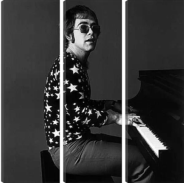 Модульная картина - Элтон Джон. Elton John