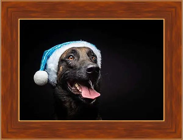 Картина в раме - Собака в новогодней шапке
