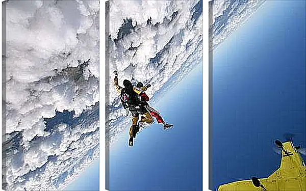 Модульная картина - Прыжок в тандеме с инструктором