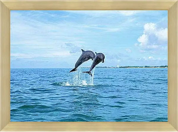 Картина в раме - Дельфины