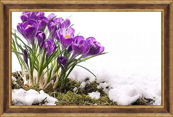 Картина в раме - Цветочки