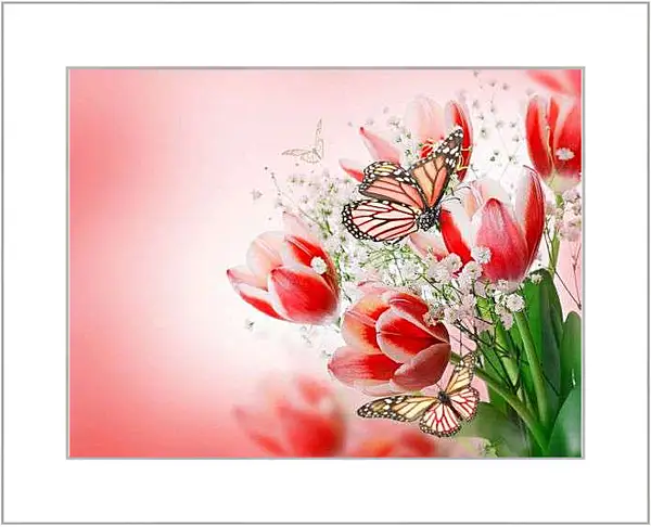 Картина в раме - Бабочки и тюльпаны