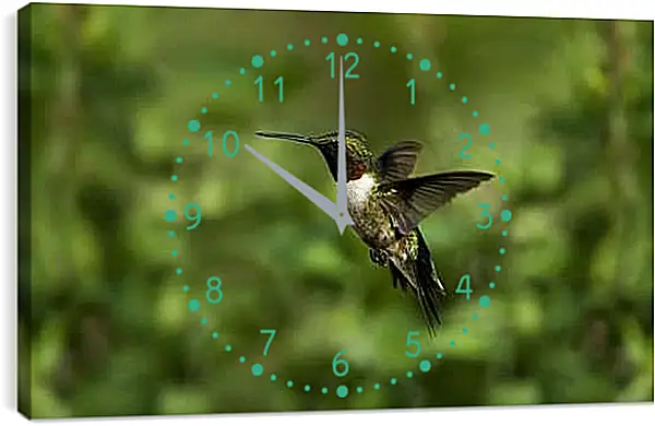 Часы картина - Колибри