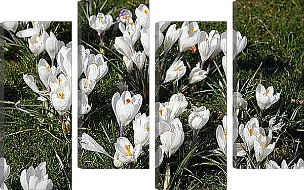 Модульная картина - Весна