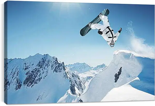 Постер на подрамнике - Переворот в воздухе