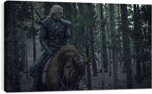 Постер на подрамнике - Ведьмак. The Witcher