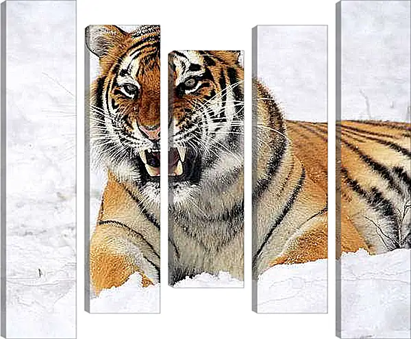 Модульная картина - Бенгальский тигр в снегу