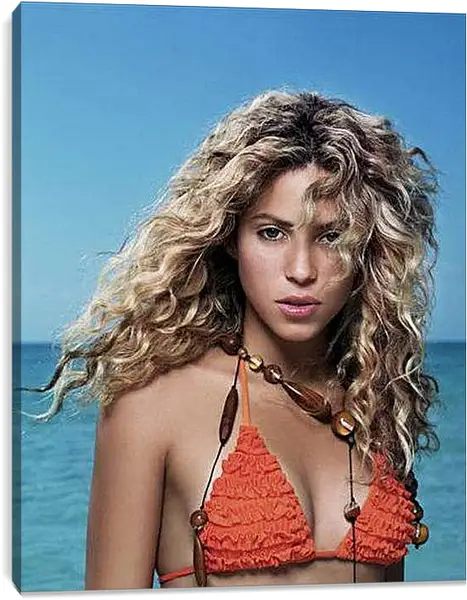 Постер на подрамнике - Shakira - Шакира
