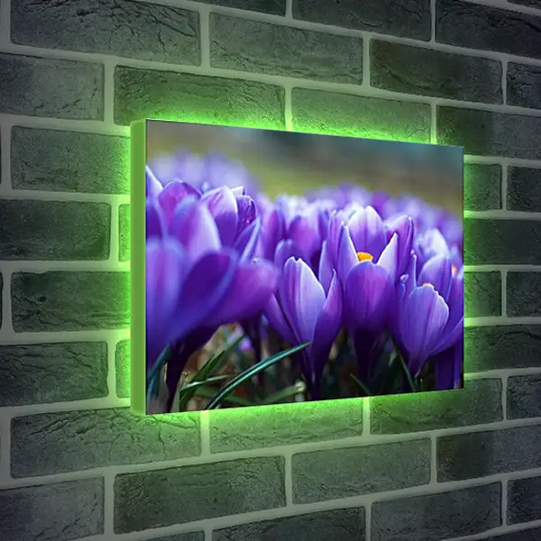 Лайтбокс световая панель - Весна