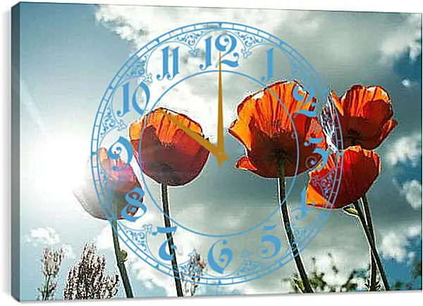 Часы картина - Маки в солнечных лучах