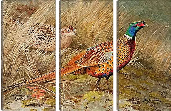 Модульная картина - Пара фазанов
