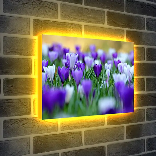 Лайтбокс световая панель - Весна