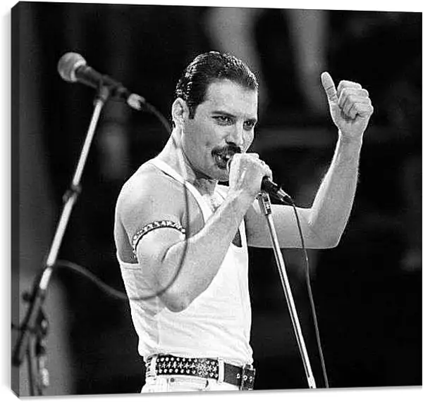 Постер на подрамнике - Меркьюри на сцене