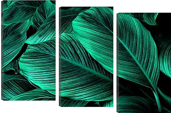 Модульная картина - Лист пальмы