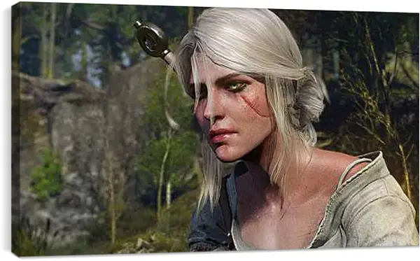 Постер на подрамнике - The Witcher 3: Wild Hunt