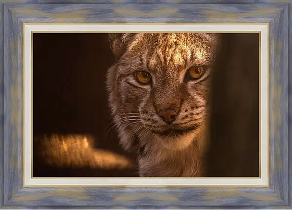 Картина в раме - Рысь