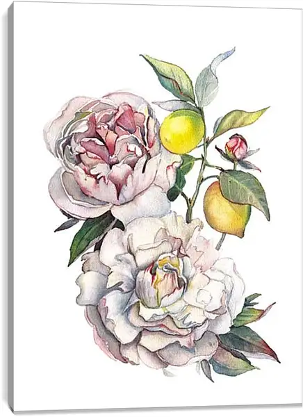 Постер на подрамнике - Акварельные пионы и лимоны