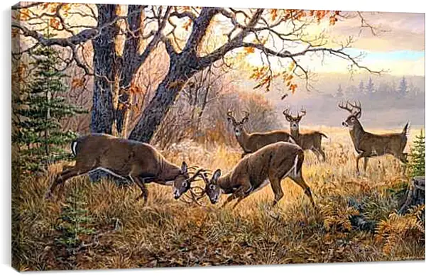 Постер на подрамнике - За внимание самки