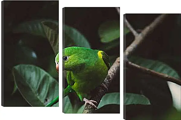 Модульная картина - Зелёный попугайчик на ветке