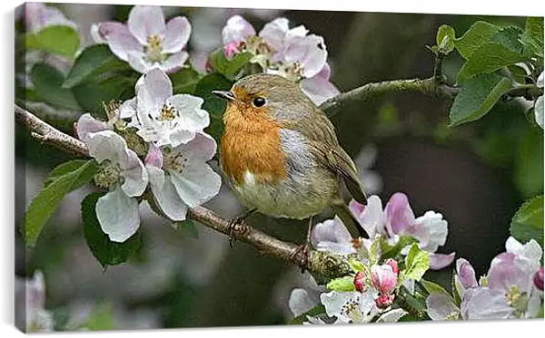 Постер на подрамнике - Весна