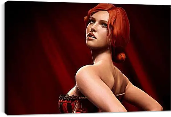 Постер на подрамнике - The Witcher 2: Assassins Of Kings