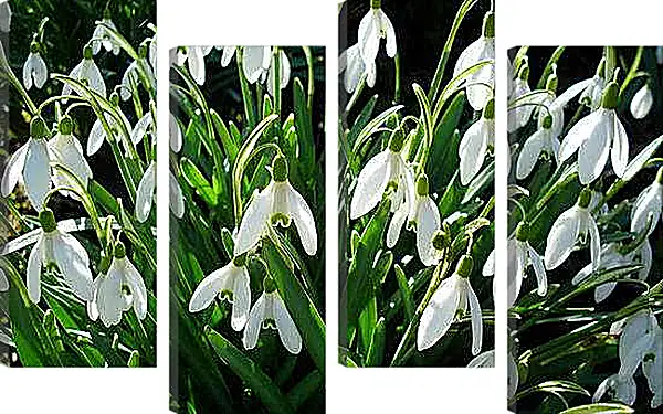 Модульная картина - Весна