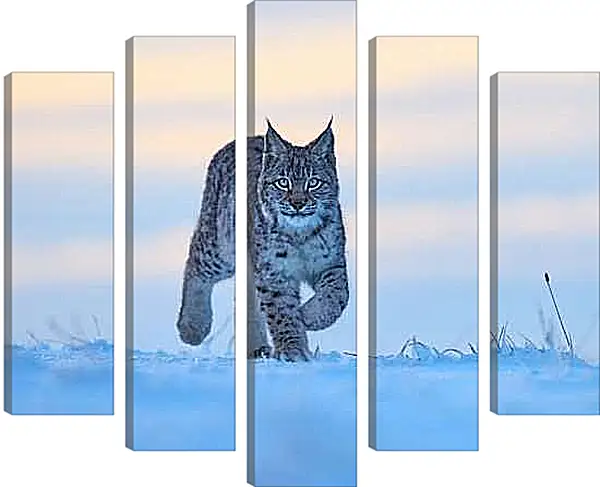 Модульная картина - Рысь