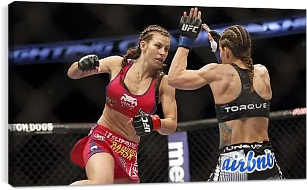 Постер на подрамнике - UFC. MMA. Бой. Девушки.