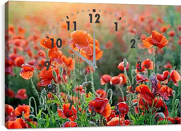 Часы картина - Поле маков