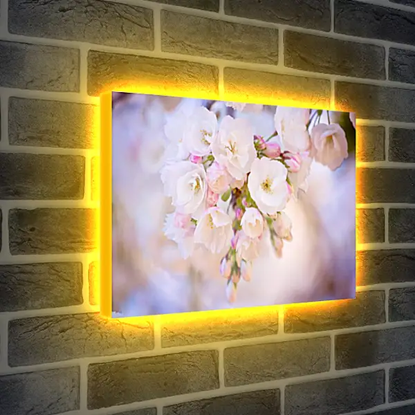 Лайтбокс световая панель - Весна
