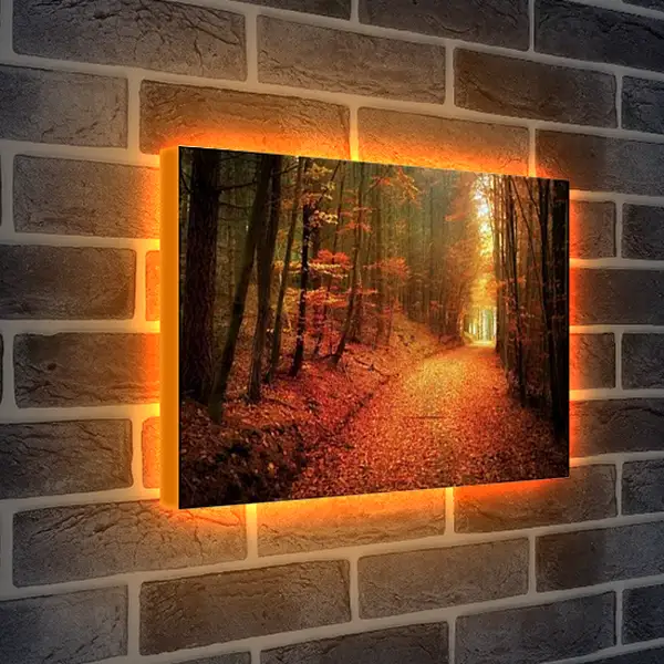 Лайтбокс световая панель - Осень