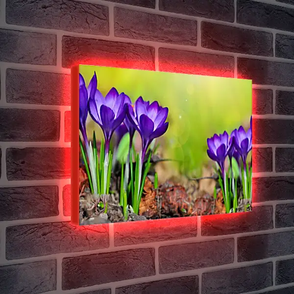 Лайтбокс световая панель - Весна