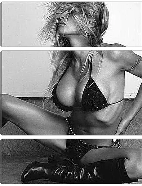 Модульная картина - Pamela Anderson - Памела Андерсон
