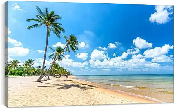 Постер на подрамнике - Пальмы растущие на пляже