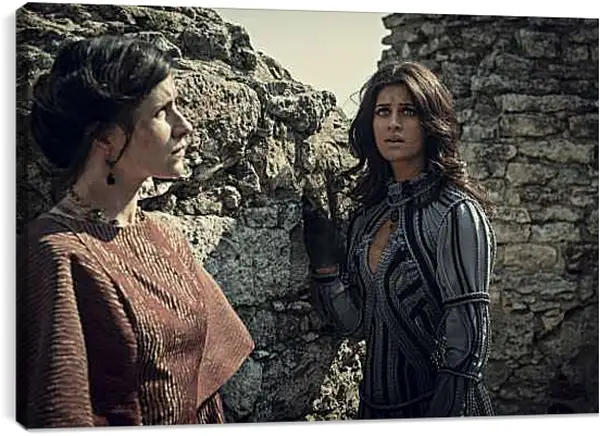 Постер на подрамнике - Ведьмак. The Witcher