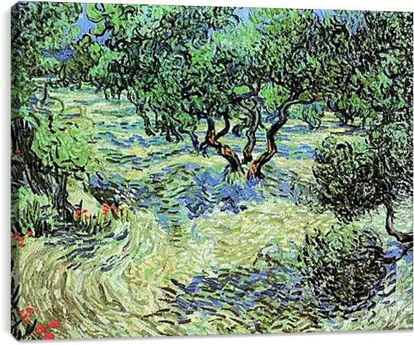 Постер на подрамнике - Olive Grove. Винсент Ван Гог