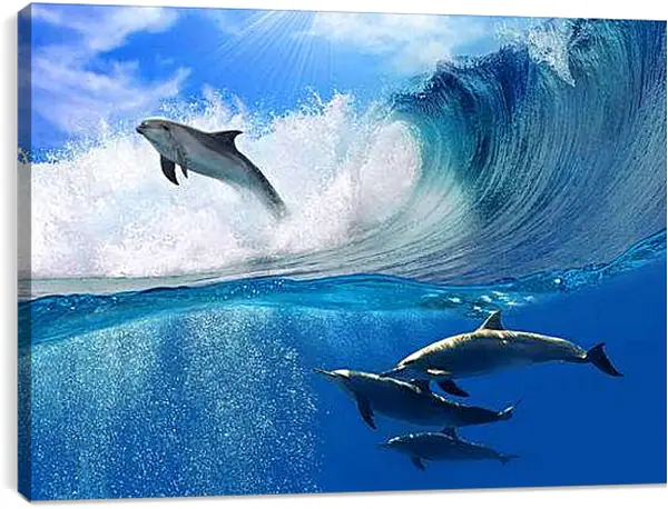Постер на подрамнике - Дельфины в море