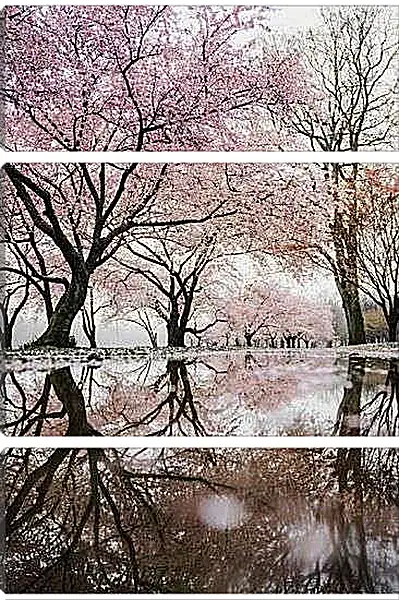 Модульная картина - Сакура у пруда