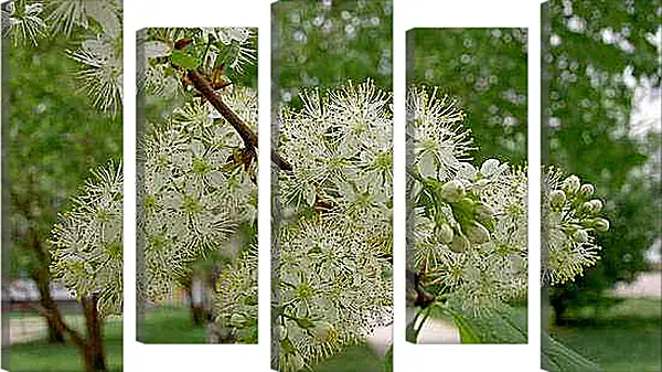 Модульная картина - Весна