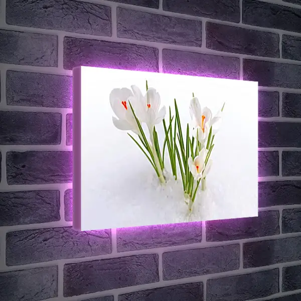 Лайтбокс световая панель - Весна