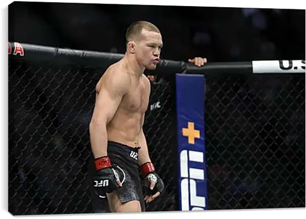 Постер на подрамнике - UFC. MMA. Пётр Ян