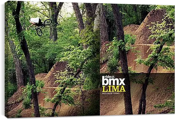 Постер на подрамнике - В лесу