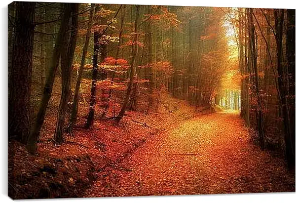 Постер на подрамнике - Осень