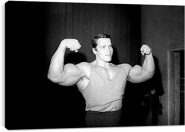 Постер на подрамнике - Арнольд Шварценеггер (Arnold Schwarzenegger)