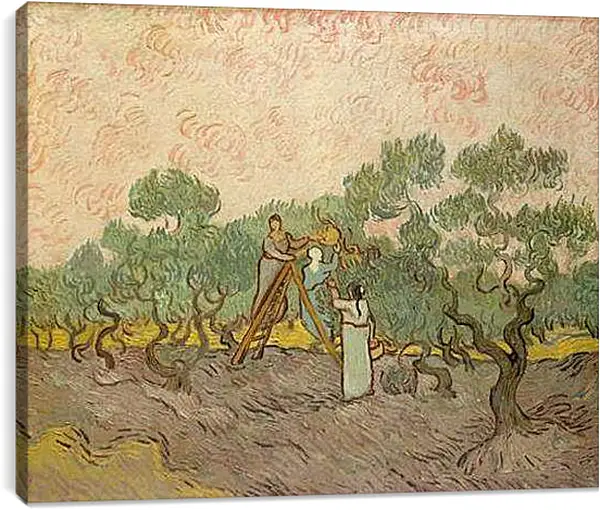 Постер на подрамнике - Женщины собирают маслины. Винсент Ван Гог