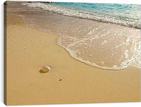 Постер на подрамнике - Sea shore - Морской берег