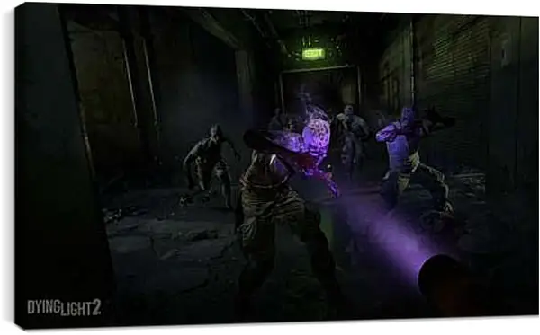 Постер на подрамнике - Dying Light 2: Stay Human