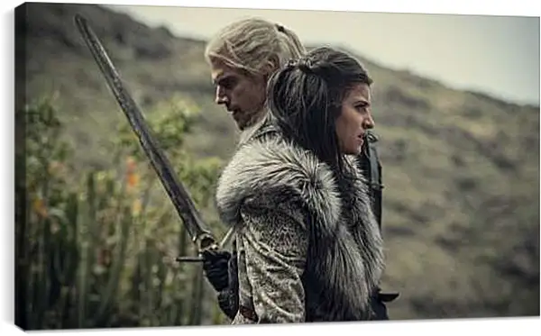 Постер на подрамнике - Ведьмак. The Witcher